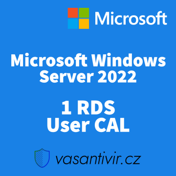 Microsoft Windows Server 2022 RDS 1 User CAL