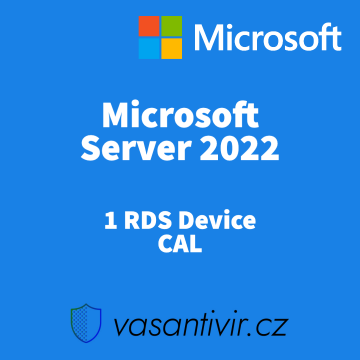 Microsoft Windows Server 2022 RDS 1 Device CAL