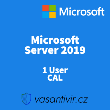 Microsoft Windows Server 2019 - 1 User CAL