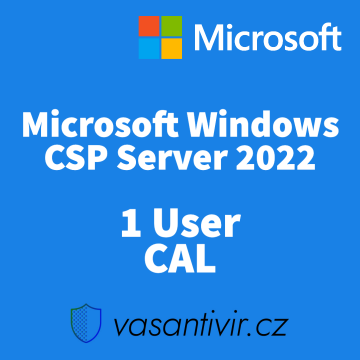 Microsoft Windows Server 2022 - 1 User CAL, nová
