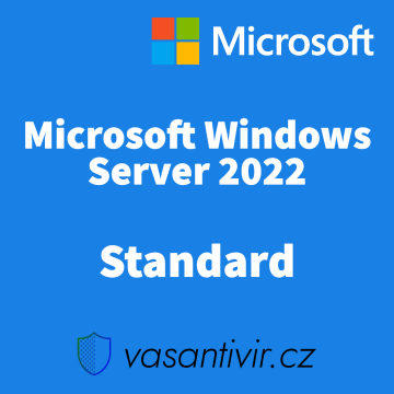 Microsoft Windows Server 2022 Standard (16...
