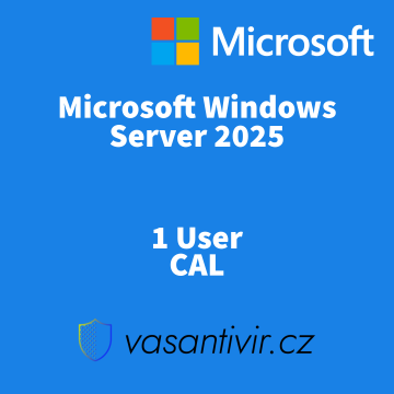 Microsoft Windows Server 2025 - 1 User CAL