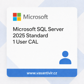 Microsoft SQL Server 2025 Standard 1 User CAL